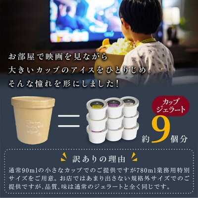 COZAB GELATO 大容量 ひとりじめサイズ 訳あり 贅沢 14個 ジェラートFY25-278