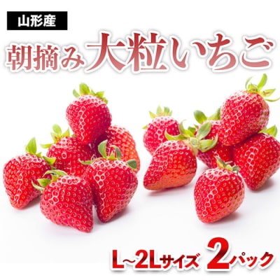 真っ赤に育った冬の贅沢!朝摘み大粒いちご☆ FZ23-439