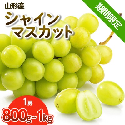 【期間限定】希少!冬の大粒大房のシャインマスカット 秀品 1房(800g～1kg) FS25-686