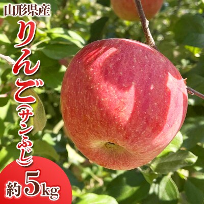 山形県産 りんご (サンふじ) 約5kg(14～25玉)【令和8年産】FS25-765