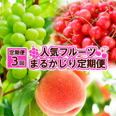 【定期便3回】人気フルーツ まるかじり定期便 FZ25-726