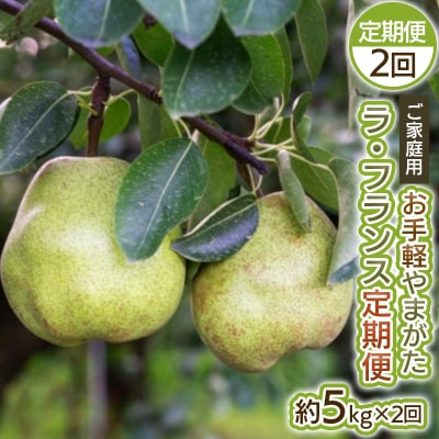 【定期便2回】お手軽 ご家庭用 やまがたラ・フランス 5kg×2回【令和8年産】FS25-751
