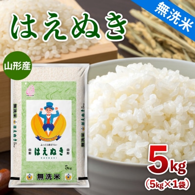 【無洗米】 山形産 はえぬき 5kg FZ26-902