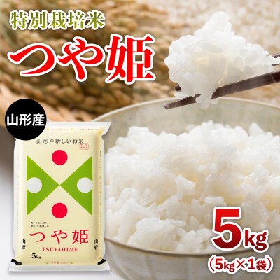 山形産 特別栽培米 つや姫 5kg FZ26-905