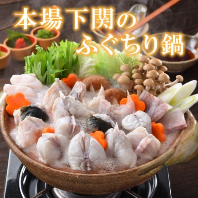 とらふぐ刺身とふぐ鍋セット(2-3人前) 冷蔵 ふぐ刺身 ふぐ鍋 FP013