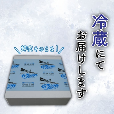 とらふぐ刺身とふぐ鍋セット(2-3人前) 冷蔵 ふぐ刺身 ふぐ鍋 FP013