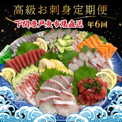 【定期便年6回】 唐戸市場直送 高級お刺身 各2人前 隔月発送 冷凍 真空 鮮魚 EY020-x