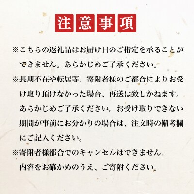 定期便 年6回 隔月 豪華刺身旬魚セット ヤマモ水産 FR056
