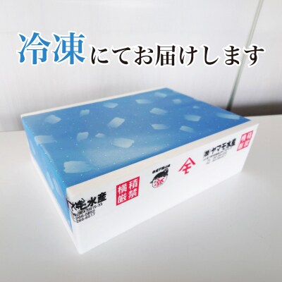 定期便 年6回 隔月 豪華刺身旬魚セット ヤマモ水産 FR056