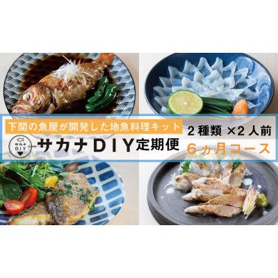 定期便 6ヶ月 サカナDIY 2人前 2種×6ヶ月 冷凍 CX207