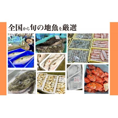 定期便 6ヶ月 サカナDIY 2人前 2種×6ヶ月 冷凍 CX207