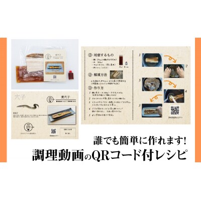 定期便 6ヶ月 サカナDIY 2人前 2種×6ヶ月 冷凍 CX207