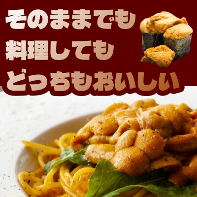 訳あり 大容量 生 ウニ 100g 下関 山口 AB114