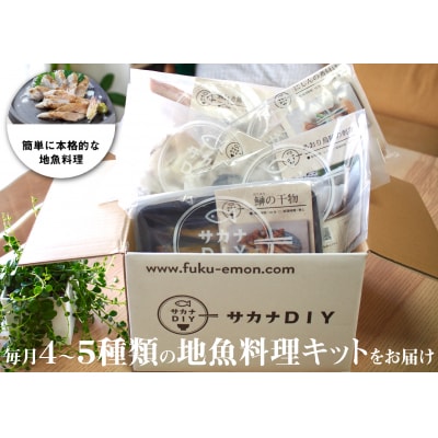 定期便 12ヶ月 サカナDIY 2人前 4 ~ 5 種×12ヶ月 冷凍 CX214