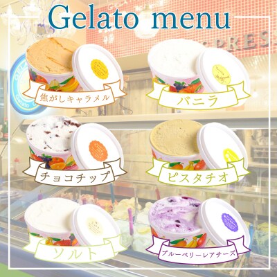 【定期便4回】 ジェラート おまかせ セット 6個 × 4回 計 24個 KE003
