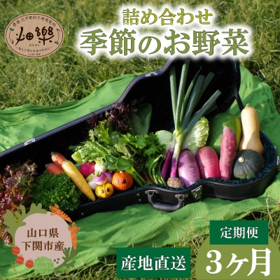 【定期便3回】 旬の 野菜 詰め合わせ IN002