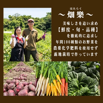 【定期便3回】 旬の 野菜 詰め合わせ IN002