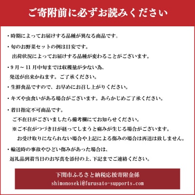 【定期便3回】 旬の 野菜 詰め合わせ IN002