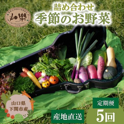 【定期便5回】 旬の 野菜 詰め合わせ IN003