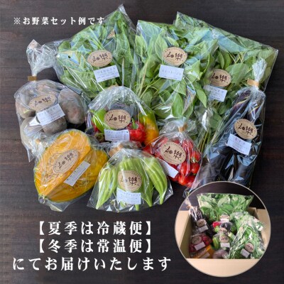 【定期便5回】 旬の 野菜 詰め合わせ IN003