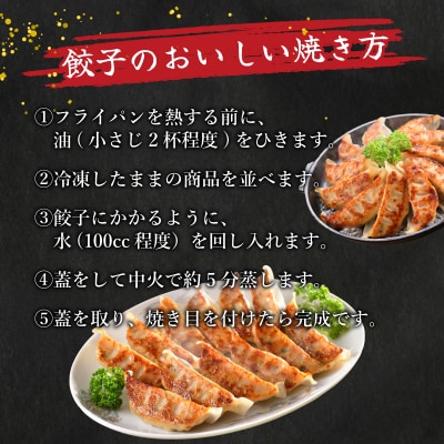 訳あり 黒豚にんにく餃子 72個 12個×6パック 冷凍 小分け IB025
