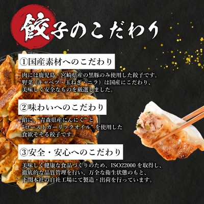 訳あり 黒豚にんにく餃子 72個 12個×6パック 冷凍 小分け IB025