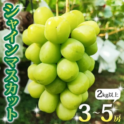 【先行受付2026年発送】シャインマスカット2kg以上(3～5房)|長野県東御市産