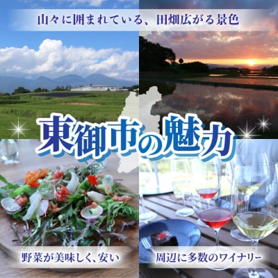移住・2拠点生活を検討してる方向け『移住者が案内するプライベートツアー』里山JAPAN