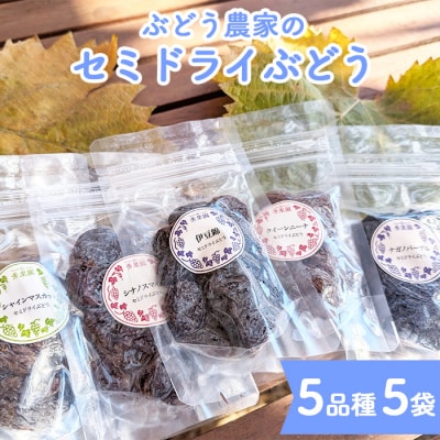 【秀果園】ぶどう農家のセミドライぶどう5品種5袋(各50g)