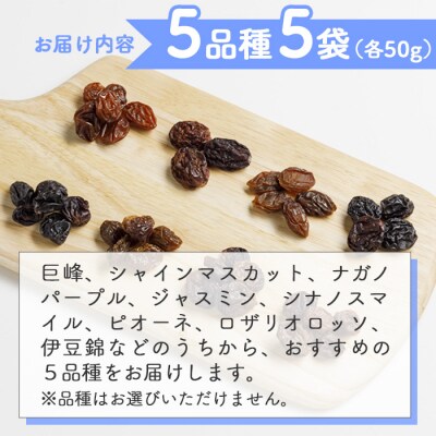 【秀果園】ぶどう農家のセミドライぶどう5品種5袋(各50g)