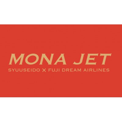 空飛ぶ最中　MONA JET　9号機～16号機