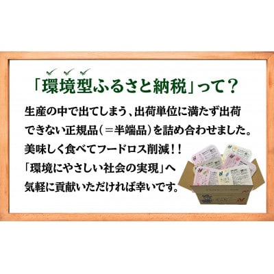 【ニチレイ】フードロス削減に貢献!!　人気のおかずシリーズ6食セット
