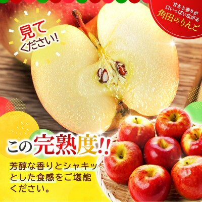 【2026年発送/先行予約】品種おまかせ 旬のりんごと洋梨詰合せ 約5kg【松崎果樹園】