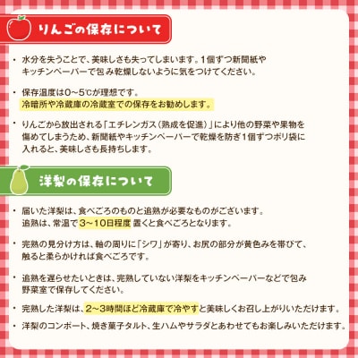 【2026年発送/先行予約】品種おまかせ 旬のりんごと洋梨詰合せ 約5kg【松崎果樹園】