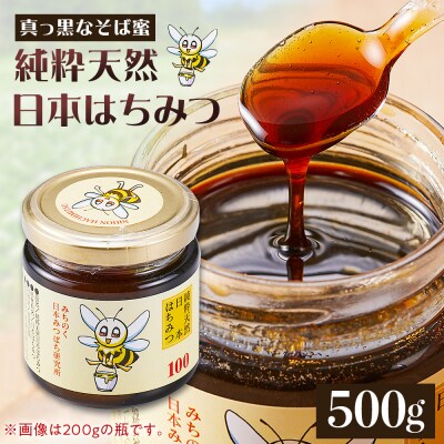 日本はちみつ　500グラム　まぼろしの純粋日本はちみつ