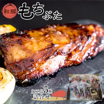 豚肉 和豚もちぶた 加工品5種詰合せ