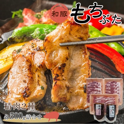 豚肉 和豚もちぶた 精肉2種各500g詰合せ