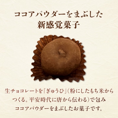 生ちょこ大福 12個入×2箱 