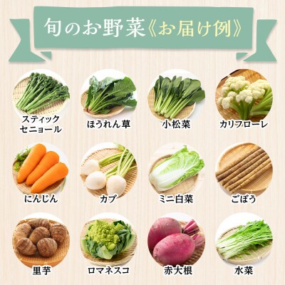 【2026年発送分先行予約】みうら農園 季節の野菜セット おまかせ7品(晩秋野菜)