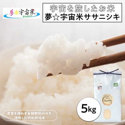 【角田市 令和7年産】夢☆宇宙米ササニシキ 5kg～宇宙を旅したお米～【9月下旬以降順次発送】