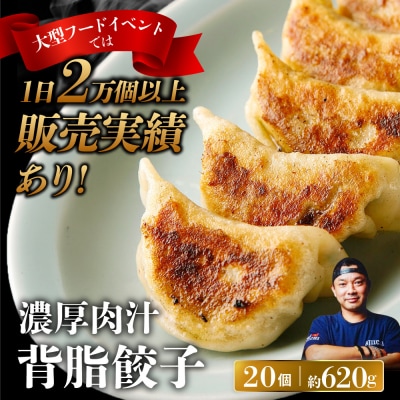 中華味一 濃厚肉汁 背脂餃子 20個(約620g)