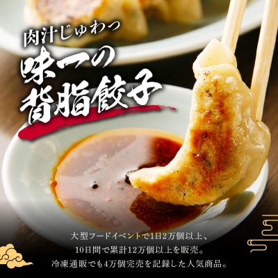 中華味一 濃厚肉汁 背脂餃子 20個(約620g)