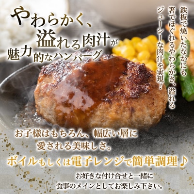 鉄板焼!JGハンバーグヴィアンド 1.1kg(110g×10個) FY26-121