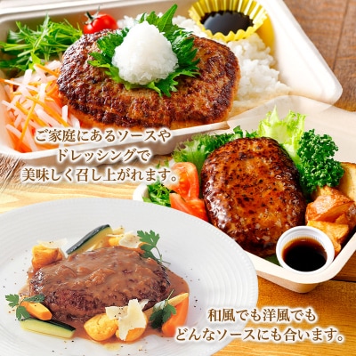 鉄板焼!JGハンバーグヴィアンド 1.1kg(110g×10個) FY26-121