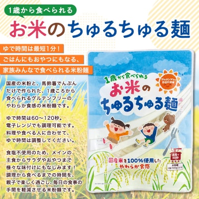 【米粉麺】お米のちゅるちゅる麺 100g×3袋 FY26-111