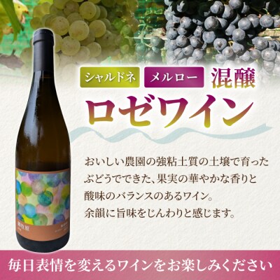 【おいしい農園】メルローワイン「御牧原503」ロゼワイン「御牧原504」セット(各1本)