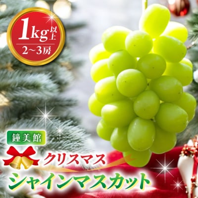 【先行受付2026年発送】標高750mで育ったクリスマスシャインマスカット1キロ以上(2～3房) 