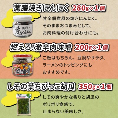 ご飯のお供・おつまみバラエティセット【馬場音一商店】 