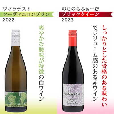 東御ワイン 赤白ワイン バラエティ6本セット