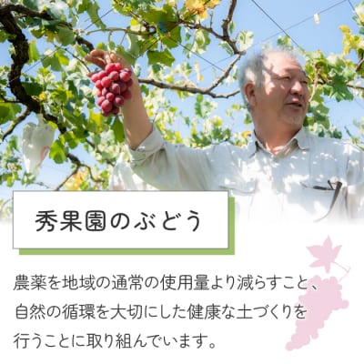 【先行受付2026年発送】自分のご褒美セット2kg(ご家庭用ぶどう3～5種、計2kg)|秀果園